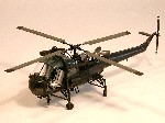 wasp.jpg
